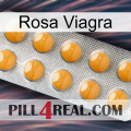 Pink Viagra levitra1